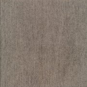 Fossil 06